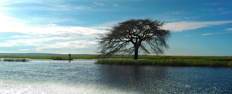 Floodplain in Zambia with tree and person in boat
