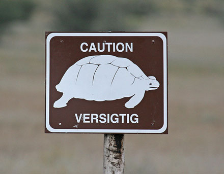 Sign with picture of tortoise and caption saying "Caution"
