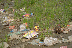 plastic bag waste on agricultural land, Karehda, Ghaziabad_Pritpal Randhawa