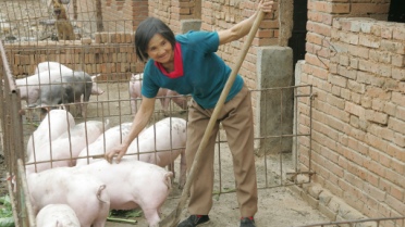 A woman farms pigs in China