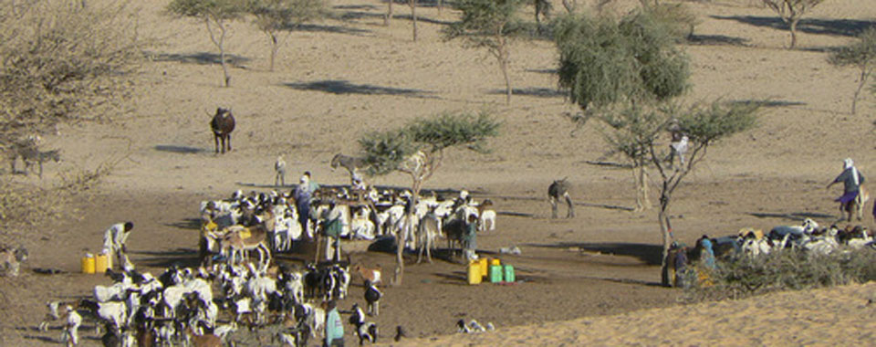 Dryland landscape with trees, people and animals
