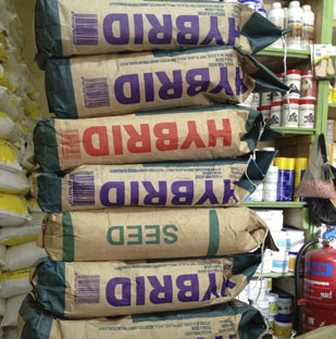 Sacks of hybrid seed piled up in an agricultural store in Kenya.