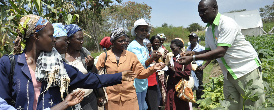 Training with women farmers in Kenya