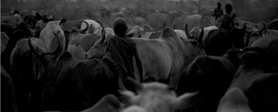 Herders and their livestock. Photo: Matteo Caravani