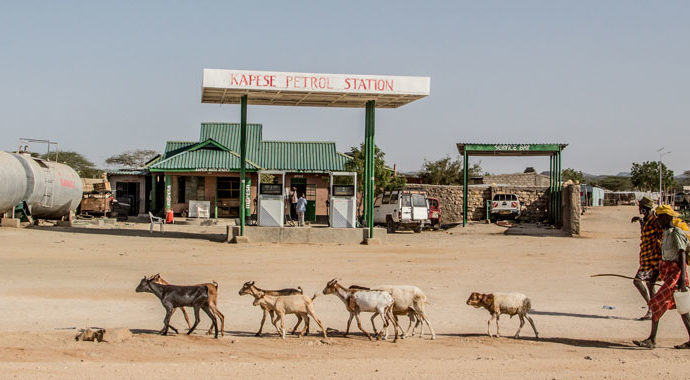 Petrol station in a dry landscape with goats in foreground
