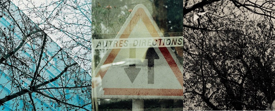 compilation of multiple exposure images with trees, glass and road sign