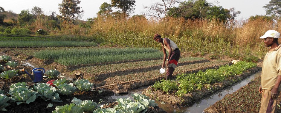 Farmers with irrigation channels