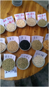 Seed swap, China