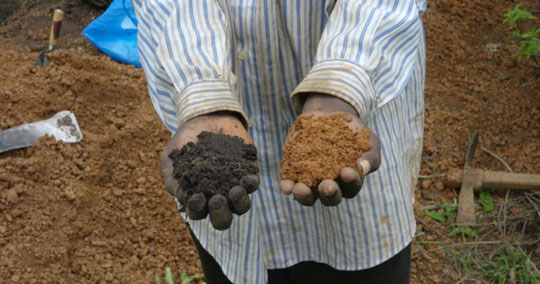 Farmer holding different soils